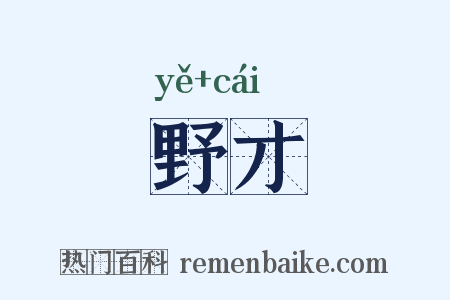 野才是什么意思的图片